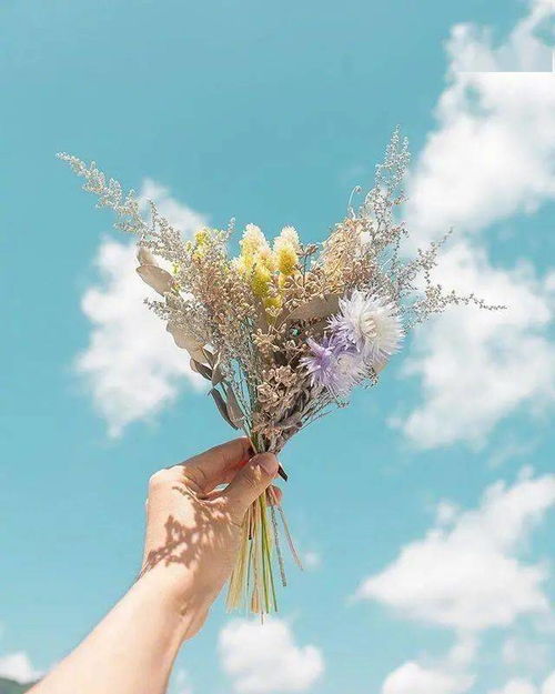 將時(shí)光釀成詩(shī) 那些溫暖治愈的文字與瞬間