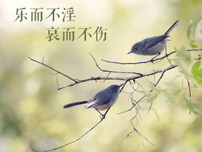 文藝創(chuàng)作 以“樂而不淫，哀而不傷”為尺度的美學(xué)追求